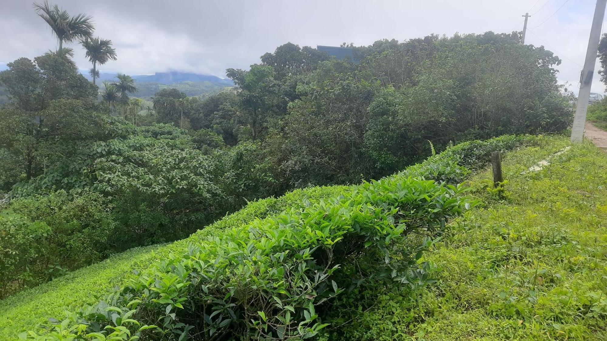 Paradise Meadows Vagamon Exterior foto